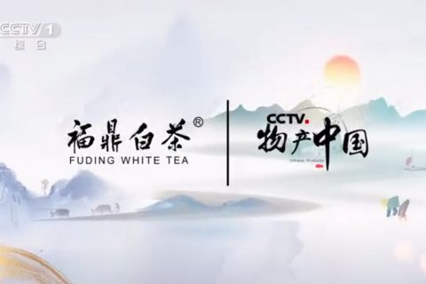 福鼎白茶、西湖龙井-物产中国公益项目